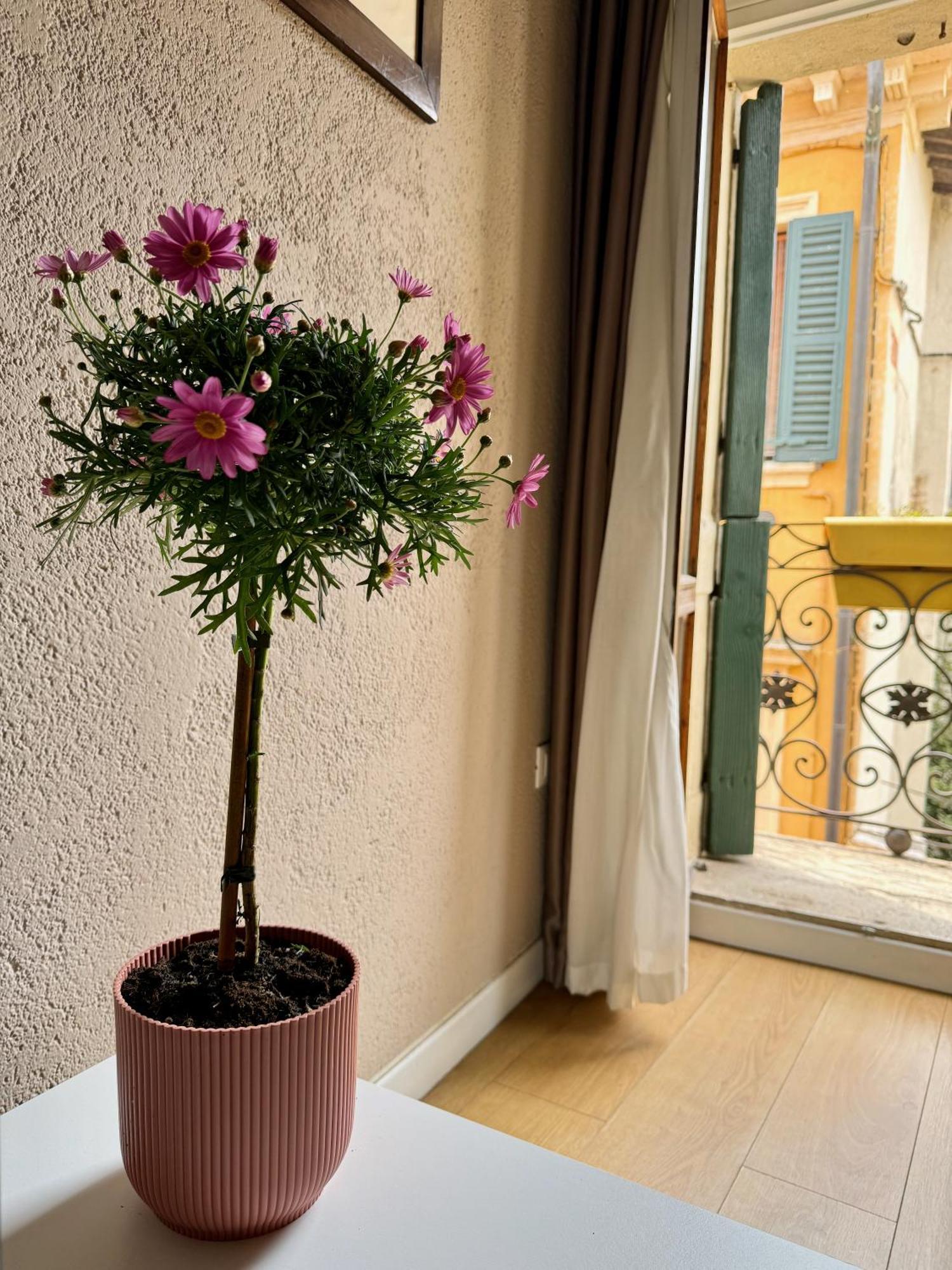 Domus Suites Verona Exterior foto